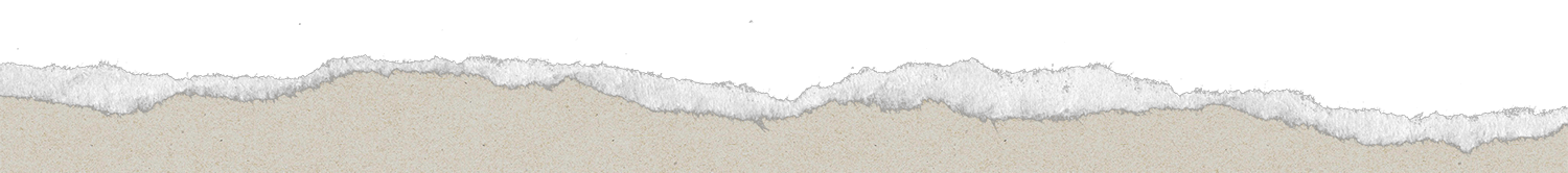 Torn paper to illustrate the start of a new section of this web page.